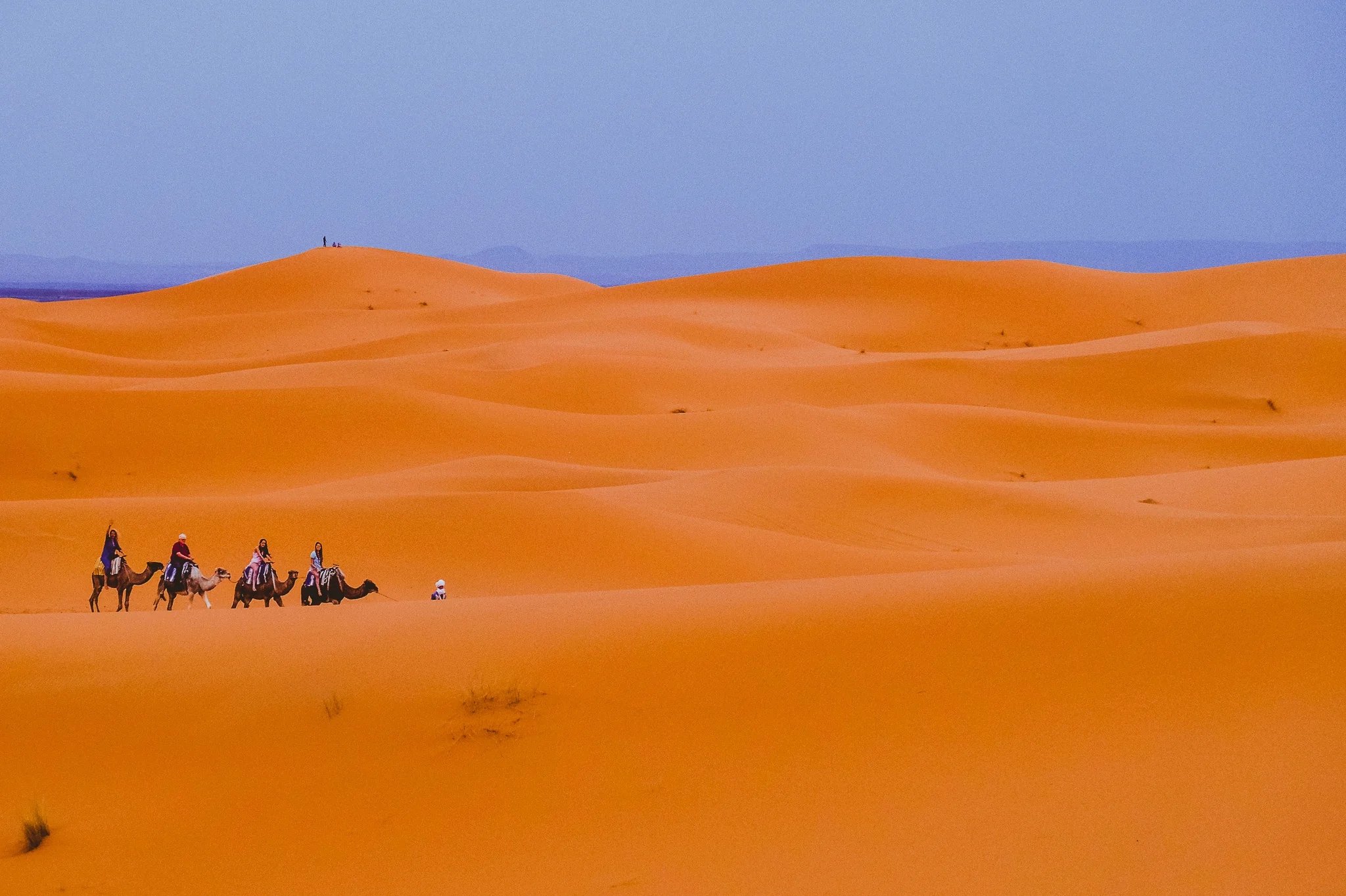 A camel caravan crosses orange dunes under a cloudless blue sky.